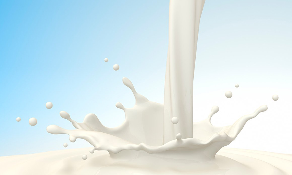 गाउँमा पुग्यो आर्थिक मन्दी : दूधको खपतमा कमी, डेरीहरुले कृषकलाई किन दिन थाले ‘मिल्क होलिडे’ ?