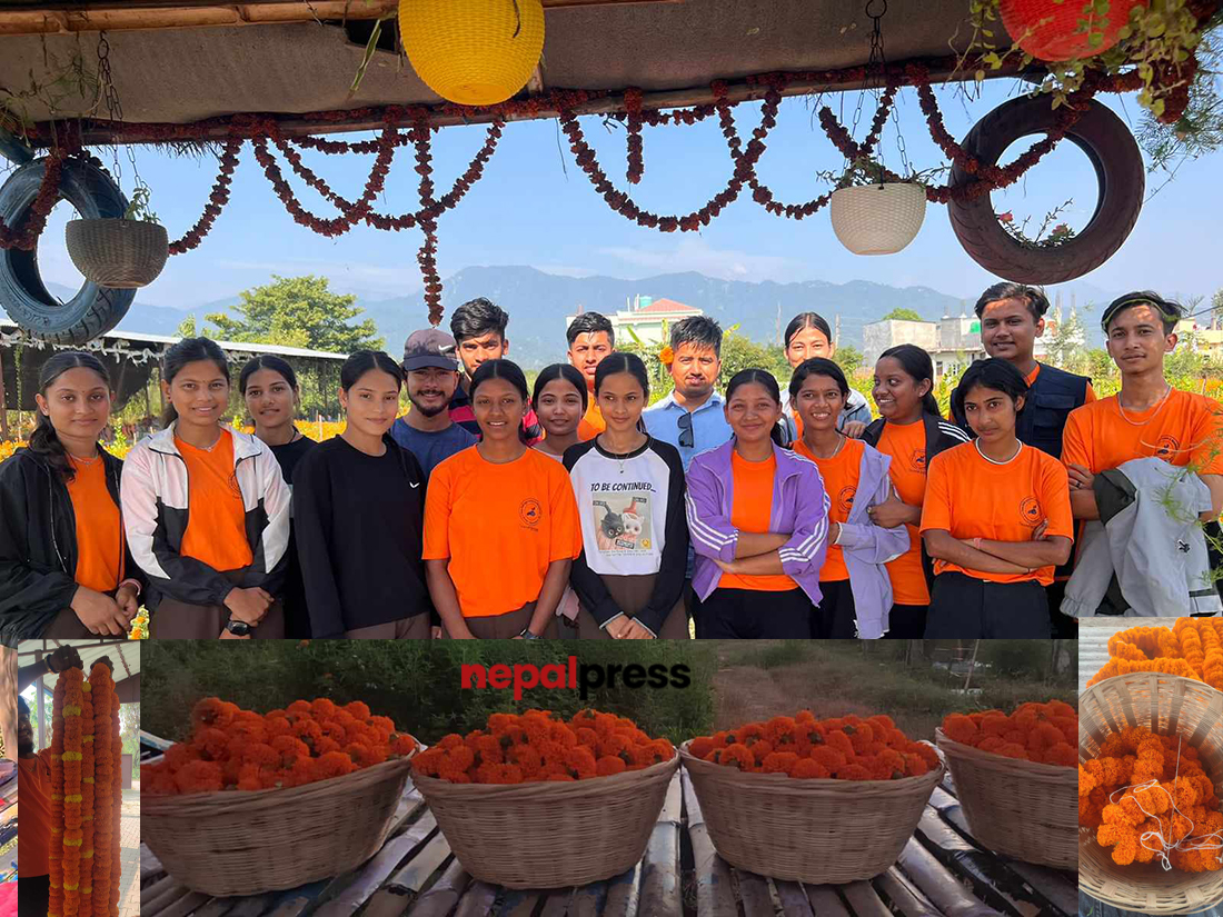 फूलमालाको व्यवसायिक खेतीमा कृषि पढेका युवा पिँढीको लगानीः सबै क्षेत्रको रोजाईमा पर्दै