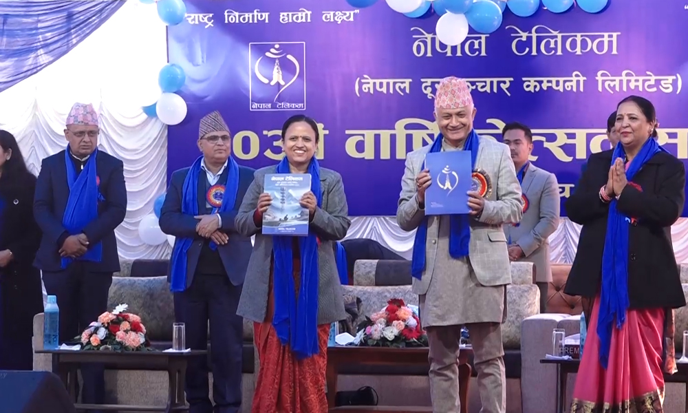 नेपाल टेलिकमको दुई दशक लामो इतिहास, दूरसञ्चार क्षेत्रको विकास